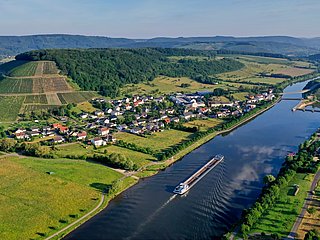 Blick auf die Weinlage Ayler KUpp
