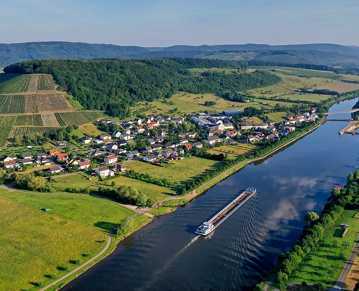 Blick auf die Weinlage Ayler KUpp