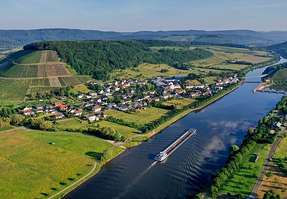 Blick auf die Weinlage Ayler KUpp