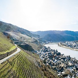 Weinberge bei Zell