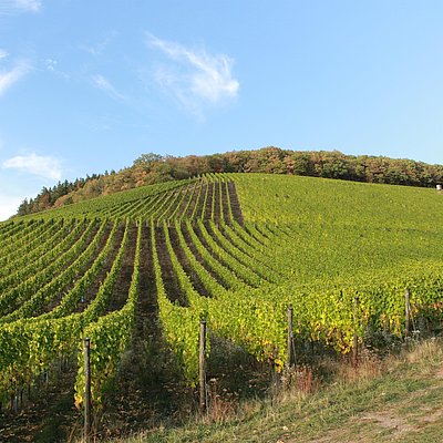 Foto: Karlskopf-Panorama-Hütte (5)