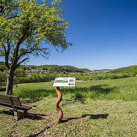 Traumschleife "Saar-Leuktal-Panorama" (1)