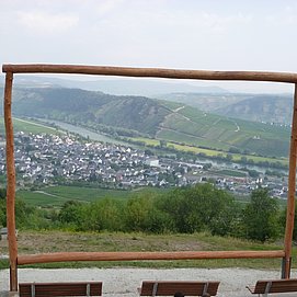 Mosel-Kino: Leiwen im Blick