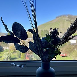 Ferienwohnung Weidentriesch (08)