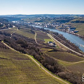 Weingut Schneider (2)