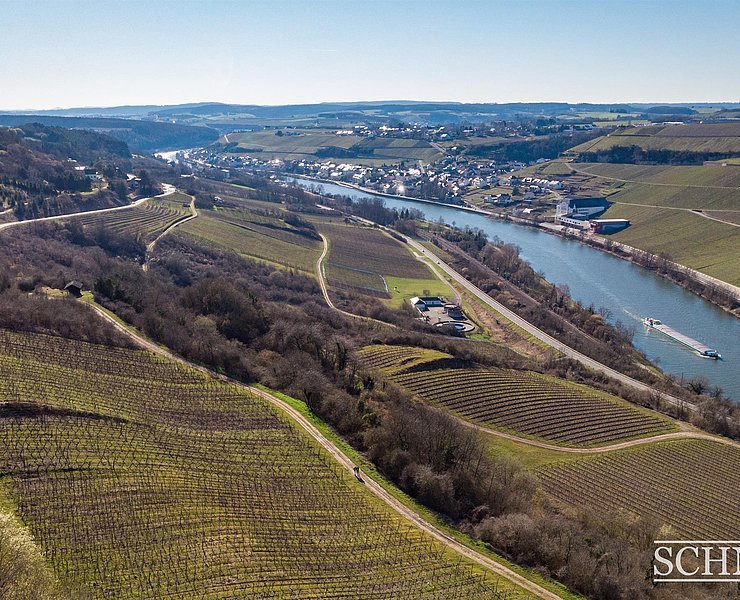 Weingut Schneider (2)