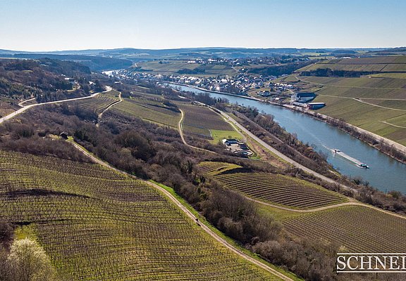 Weingut Schneider (2)