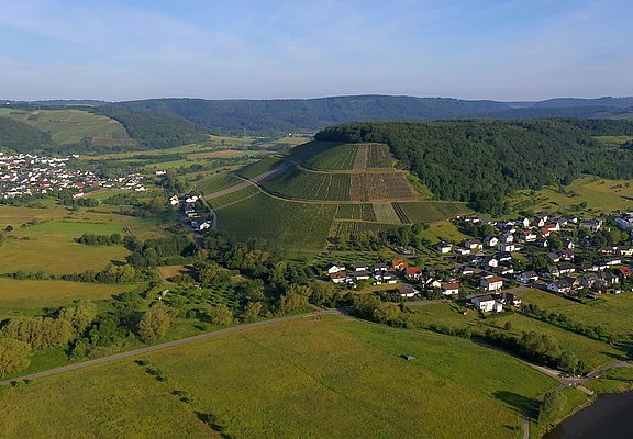 Blick auf die Ayler Kupp