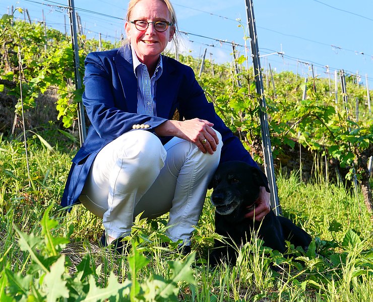 Weingut Rinke GbR (4)