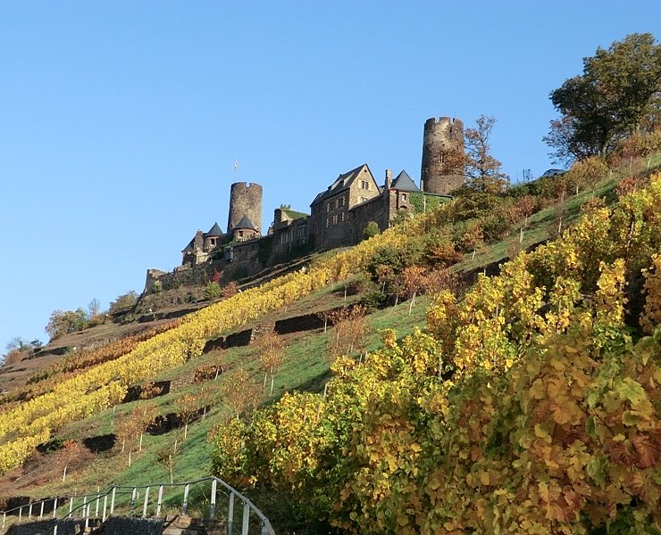 Burg Thurant oberhalb der Alkener Weinberge