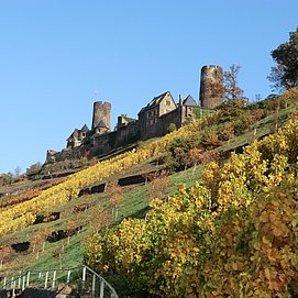 Burg Thurant oberhalb der Alkener Weinberge