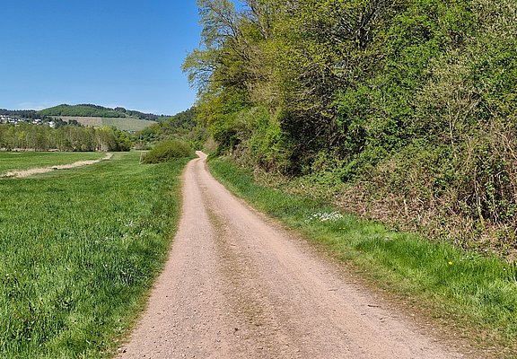 Radweg zwischen Saarburg und Trassem