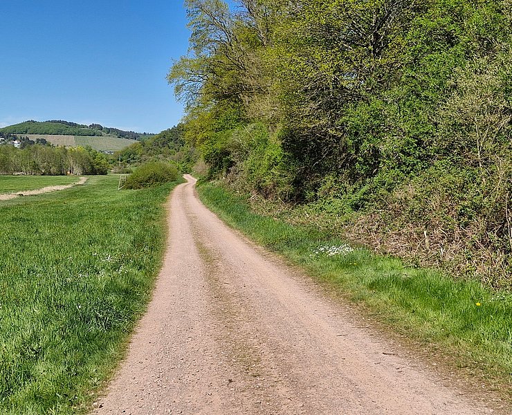 Radweg zwischen Saarburg und Trassem
