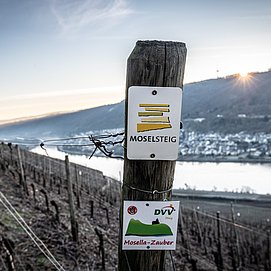 Moselsteigbeschilderung bei Winningen