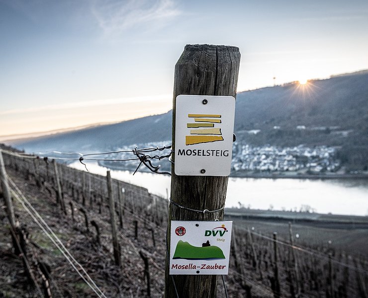Moselsteigbeschilderung bei Winningen