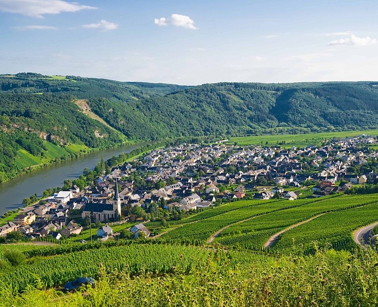 Der Weinort Kröv
