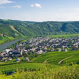 Der Weinort Kröv