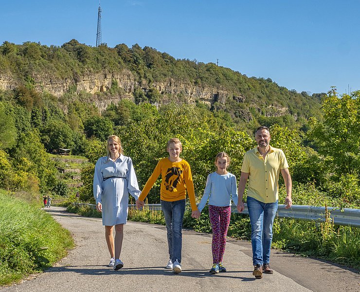 Nitteler Fels (1)