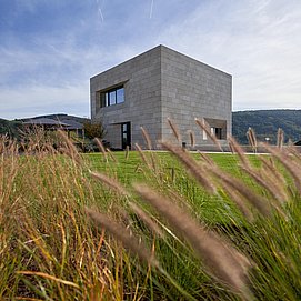 Weingut Van Volxem (02)