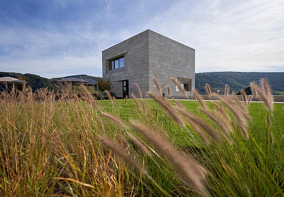 Weingut Van Volxem (02)