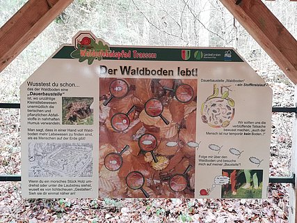 Wald und Boden (1) Wald und Boden (1)