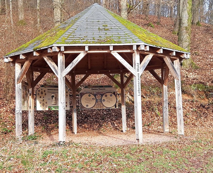 Info-Pavillon Trassem