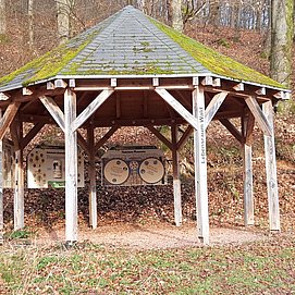 Info-Pavillon Trassem