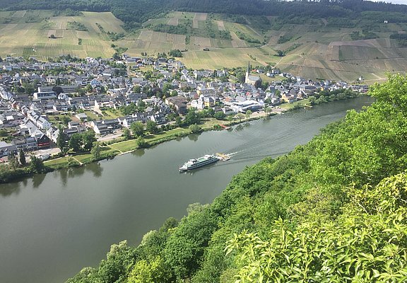 Blick von Klosterruine Wolf auf den Weinort Kröv