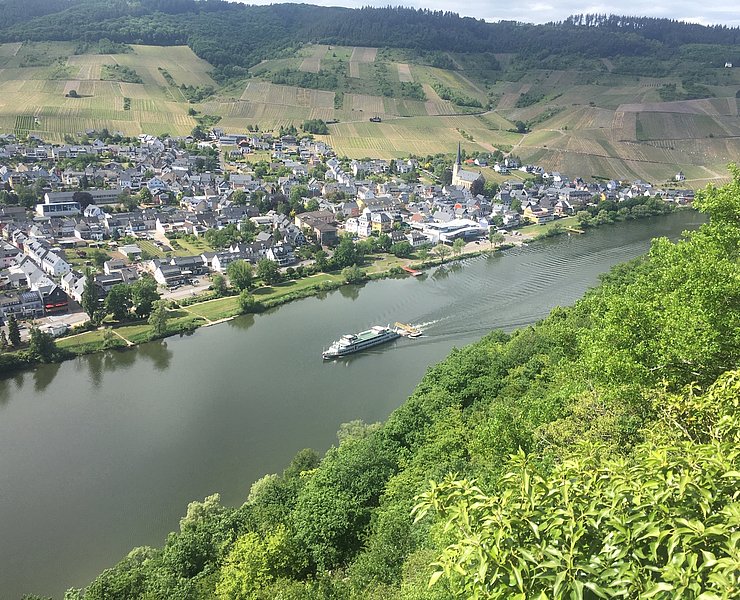 Blick von Klosterruine Wolf auf den Weinort Kröv
