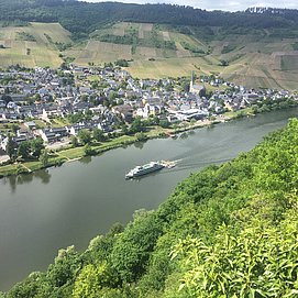 Blick von Klosterruine Wolf auf den Weinort Kröv