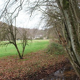 Gästehaus Herrenmühle (14)