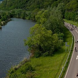 Saar Pedal (2)