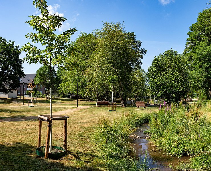 Maierspark Konz (2)