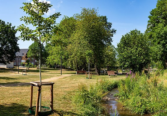 Maierspark Konz (2)