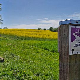 Ausblick auf den Saargau