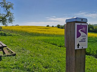 Ausblick auf den Saargau