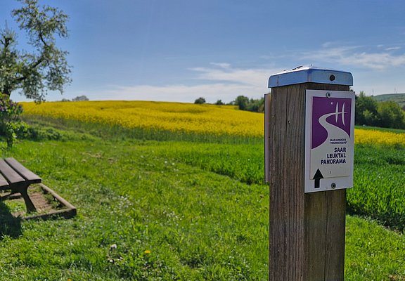 Ausblick auf den Saargau
