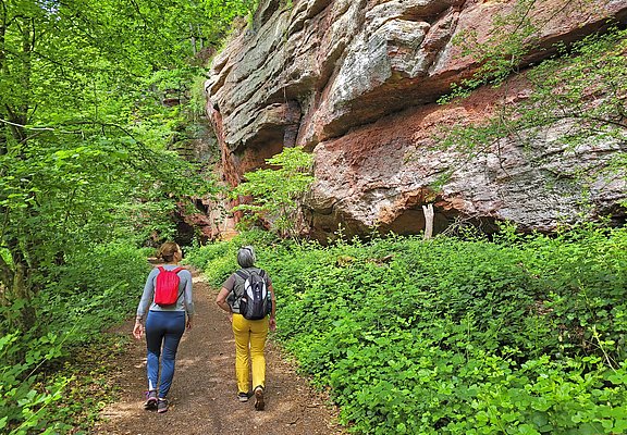Kollesleuker Schweiz (1)