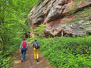 Kollesleuker Schweiz (1)