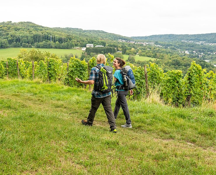 Wandern auf dem Moselsteig bei Perl