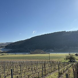 IMG_4452