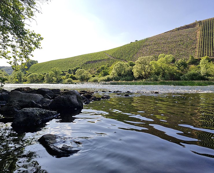 Saar bei Kanzem
