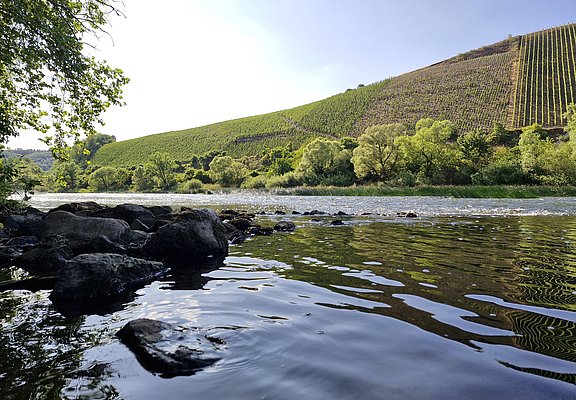 Saar bei Kanzem