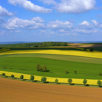 Foto: Saargau (3)