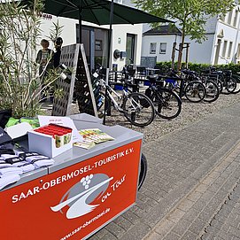 Saar-Pedal Aktionszone
