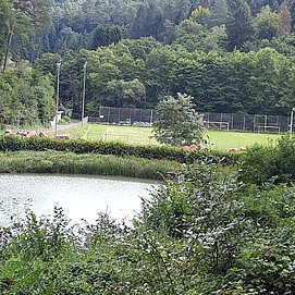 Angelweiher Trassem
