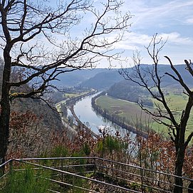 Ausblick auf die Saar (1)