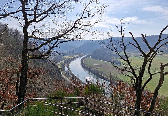 Ausblick auf die Saar (1)