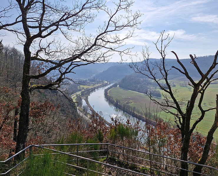 Ausblick auf die Saar (1)