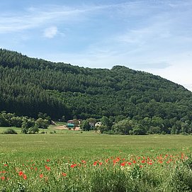 IMG_6991
